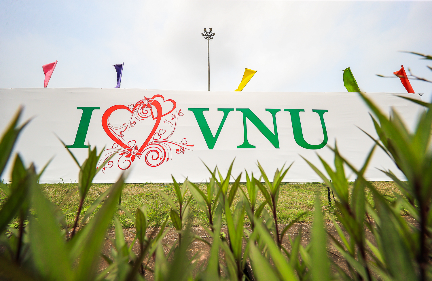 www.vnu.edu.vn